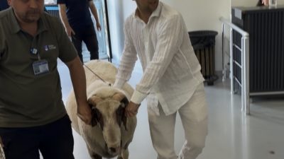Bursa’da Kurban Bayramı öncesi eşi benzeri görülmemiş bir olay yaşandı.