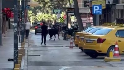 İzmir’in en kalabalık noktalarından biri olan Bornova Küçükpark’ta, sahibinin elinden