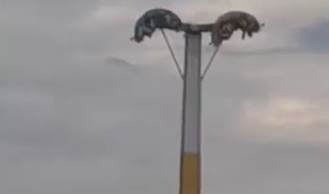 İzmir’in Buca ilçesindeki bir lunaparkta bayram tatili sırasında peş peşe