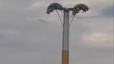 İzmir’in Buca ilçesindeki bir lunaparkta bayram tatili sırasında peş peşe
