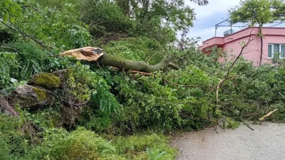 Osmaniye’nin Düziçi ilçesinde aniden bastıran sağanak yağışın ardından meydana gelen