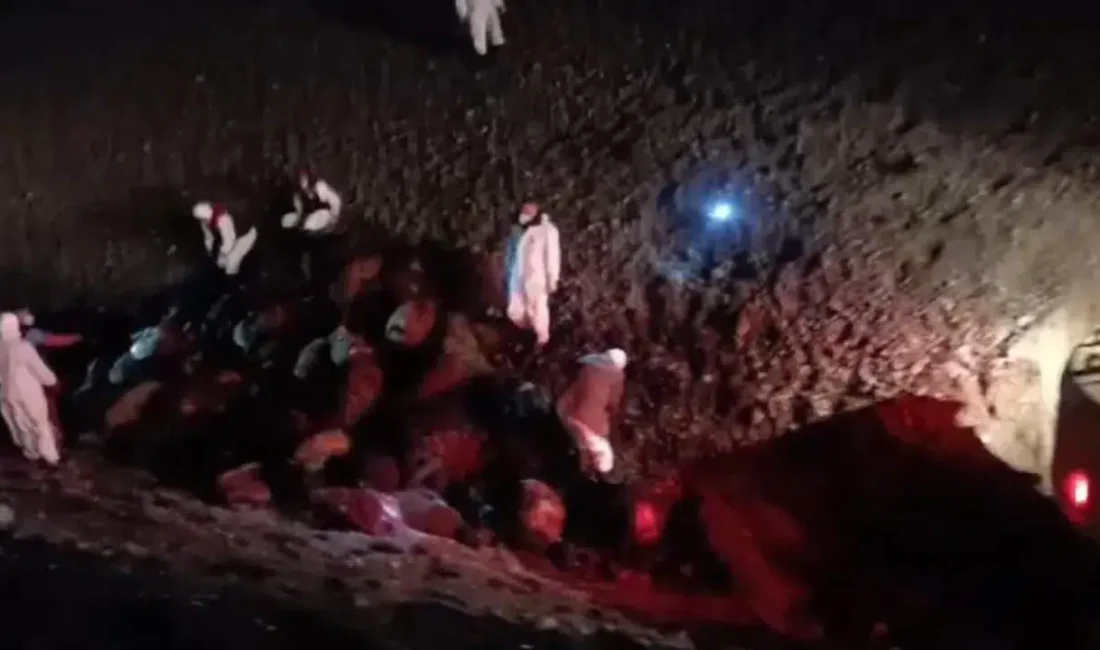 Iğdır’da meralarda otlayan koyun sürüsünün arı saldırısına uğraması sonucu yaşanan