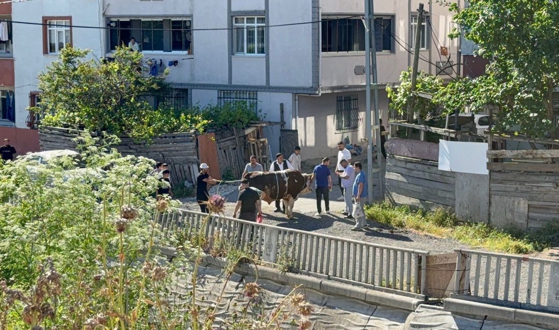 Kurban Bayramı’nın ilk gününde uyarılara aldırış etmeyenler sokak aralarını ve