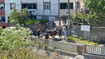Kurban Bayramı’nın ilk gününde uyarılara aldırış etmeyenler sokak aralarını ve