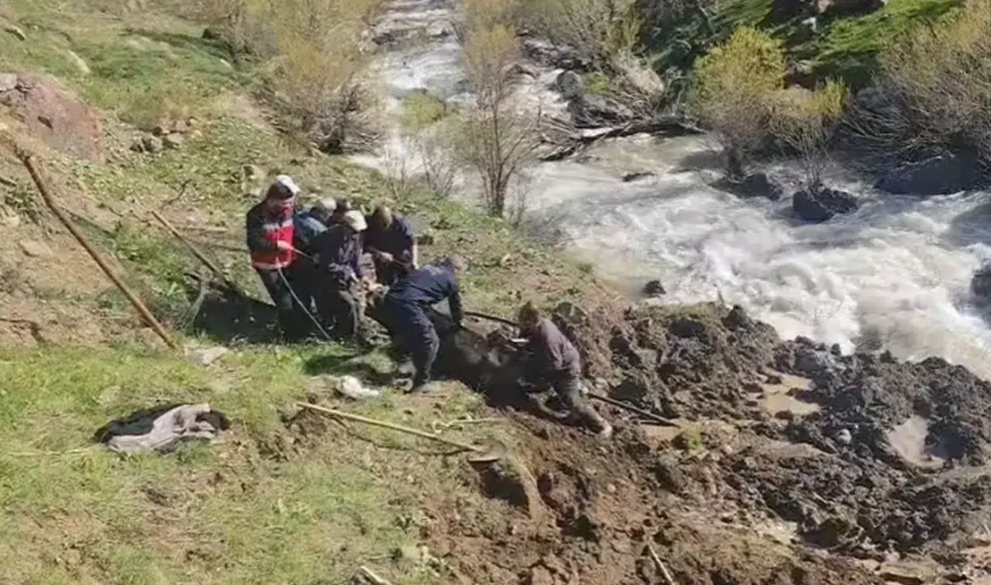 Hakkari’nin Otluca köyünde otlarken bataklığa saplanan ve çırpındıkça daha da