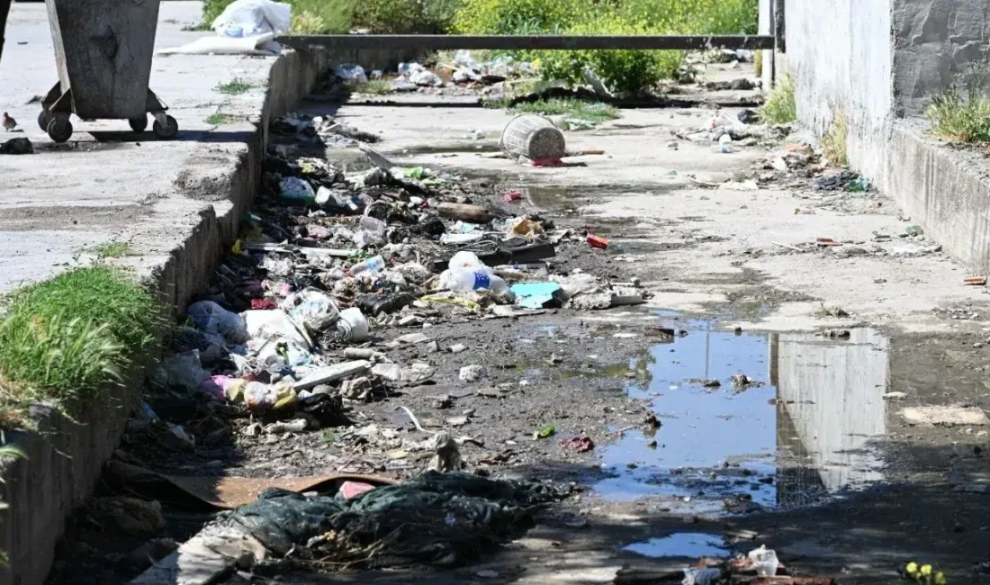 Manisa’nın Akhisar ilçesinde gerçekleştirilen dere temizliği çalışmasında ortaya çıkan manzaralar,