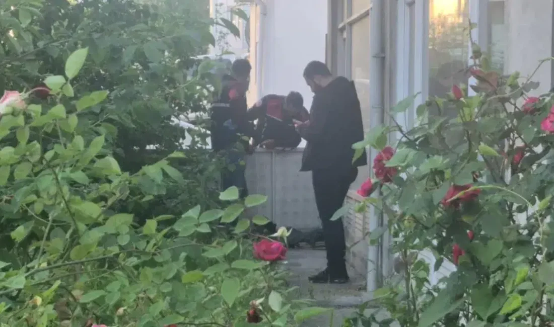 Bartın’da bir evin bahçesine bırakılan ve çevre sakinleri arasında büyük