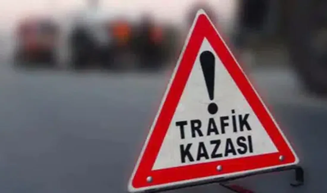 Afyonkarahisar’ın Sinanpaşa ilçesinde sürücüsünün direksiyon hakimiyetini kaybettiği otomobilin bariyerlere çarpması