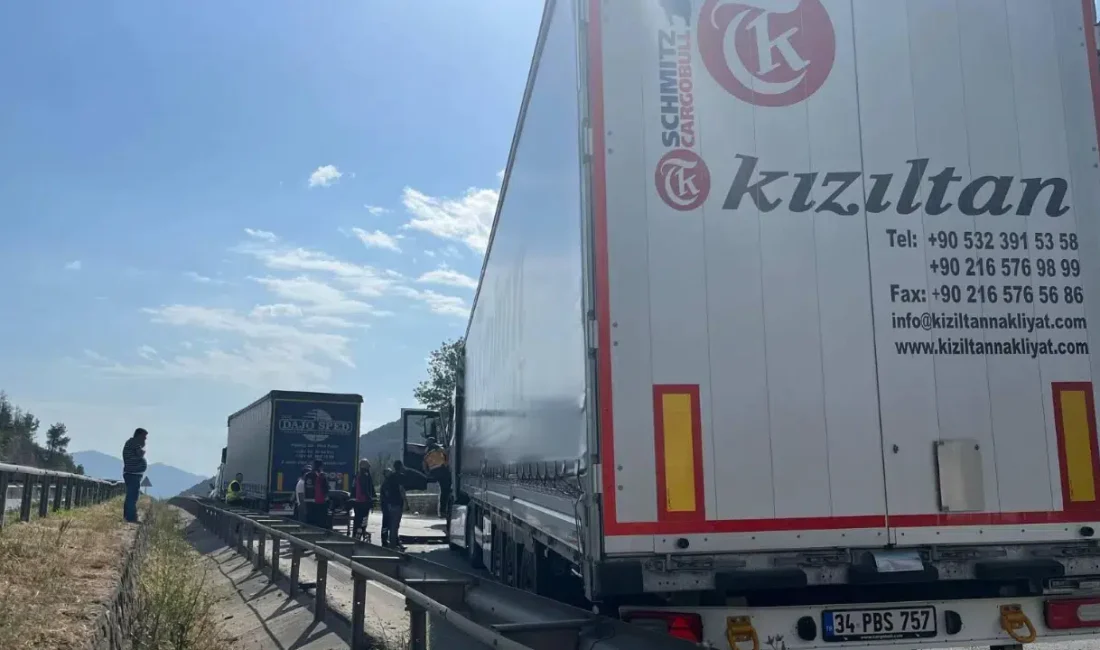 Bilecik’in Osmaneli ilçesinde iki dev aracın karıştığı trafik kazasında ortalık