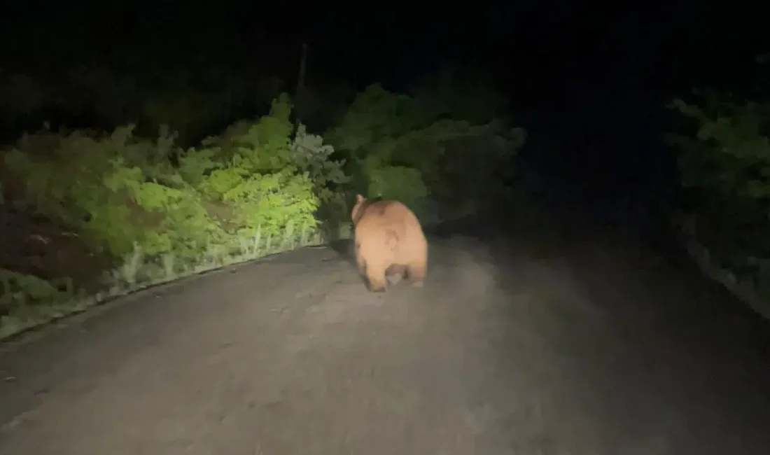 Karabük’ün Safranbolu ilçesinde gece saatlerinde yaşanan sıra dışı hareketlilik, sokaktaki