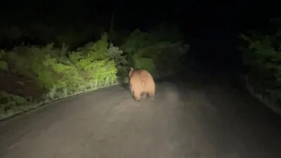 Karabük’ün Safranbolu ilçesinde gece saatlerinde yaşanan sıra dışı hareketlilik, sokaktaki