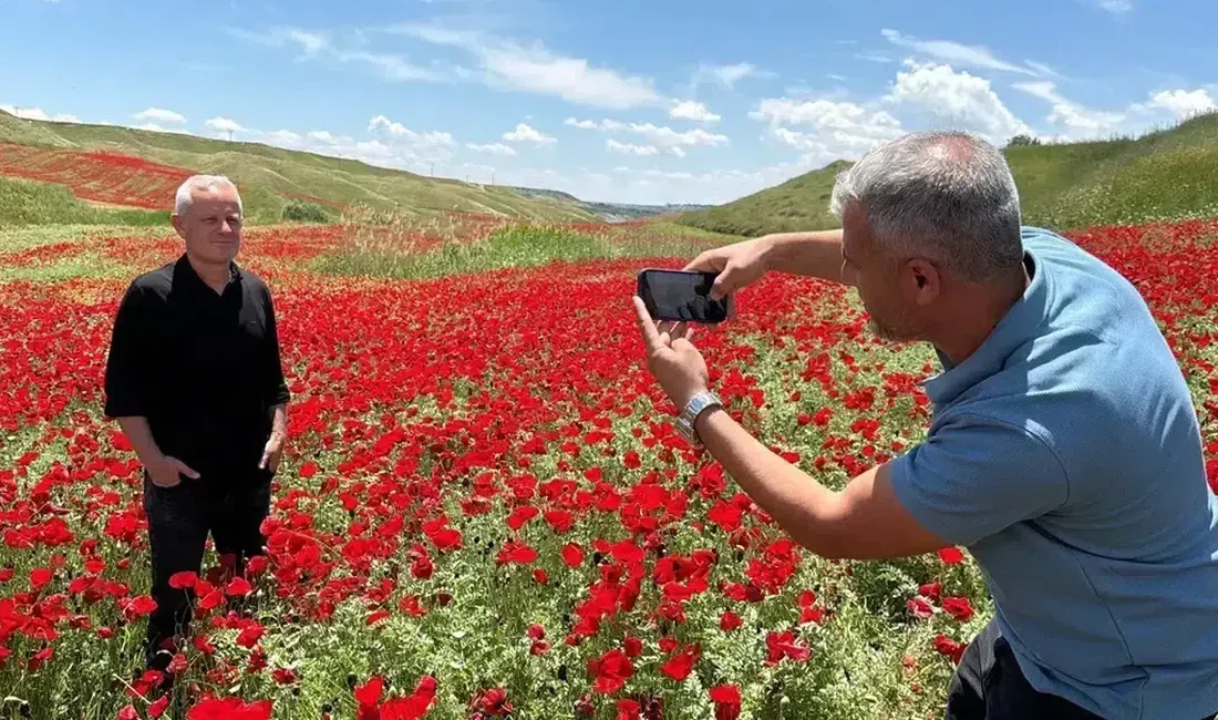 Adıyaman’da doğanın sunduğu eşsiz bir sürpriz, görenleri şaşkına çeviriyor. Nohut