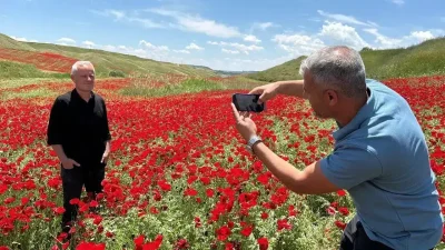 Adıyaman’da doğanın sunduğu eşsiz bir sürpriz, görenleri şaşkına çeviriyor. Nohut