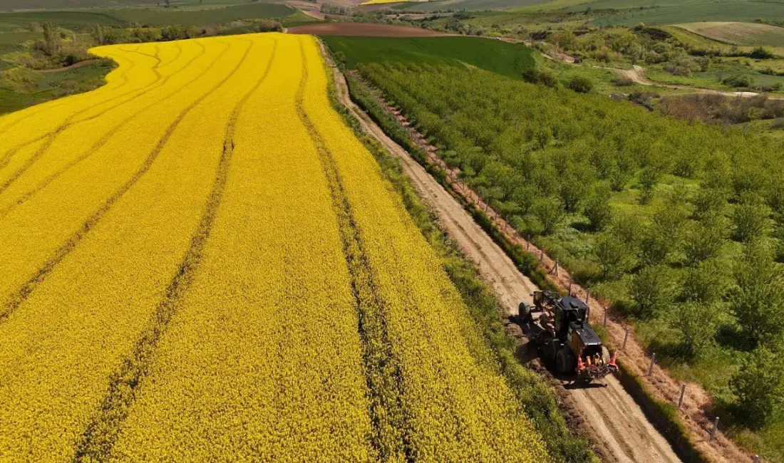 Tekirdağ Büyükşehir Belediyesi, tarım arazilerine ulaşımı kolaylaştırmak ve üreticinin işini