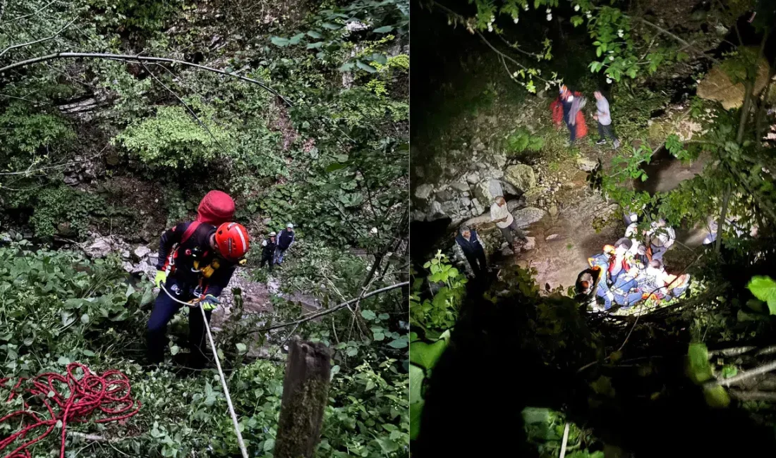 Sakarya’nın Kocaali ilçesinde fındık bahçesinde çalışan 62 yaşındaki yaşlı adamın