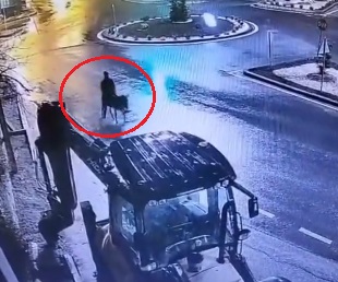 Kayseri’de akıllara durgunluk veren bir yöntemle kuyumcu dükkanını soyan ve