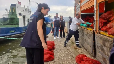 İzmir’de Tarım ve Orman Müdürlüğü ekiplerinin gerçekleştirdiği dev operasyon, yasa