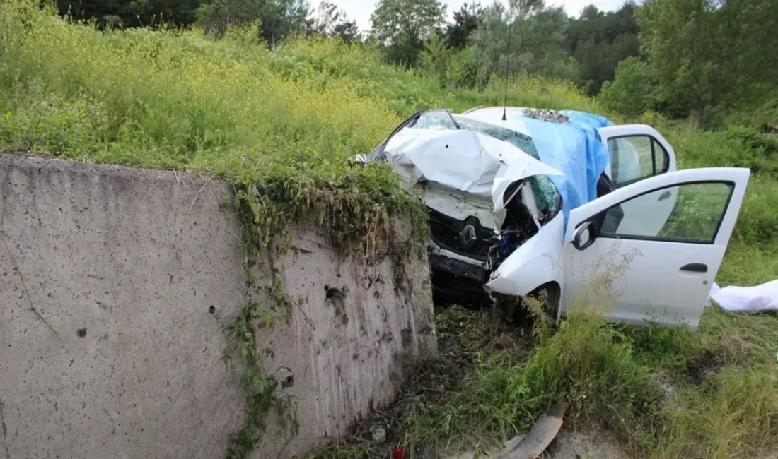 Kastamonu’nun Araç ilçesinde kontrolden çıkan bir otomobilin istinat duvarına adeta