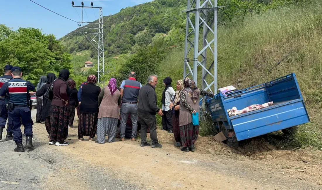 Zonguldak’ın Alaplı ilçesinde kontrolden çıkan ve “patpat” olarak bilinen tarım