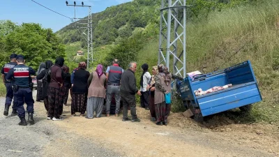 Zonguldak’ın Alaplı ilçesinde kontrolden çıkan ve “patpat” olarak bilinen tarım
