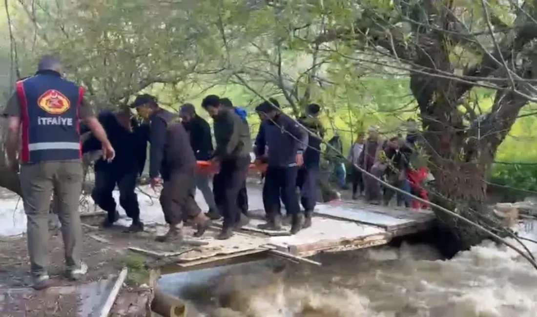Hakkari’nin Yüksekova ilçesinde ot ve pancar toplamak için dağlık araziye