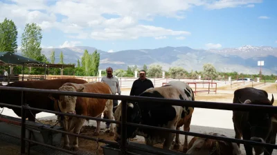 Kurban Bayramı’na sayılı günler kala Erzincan’da hayvan pazarları hareketlendi. Hem