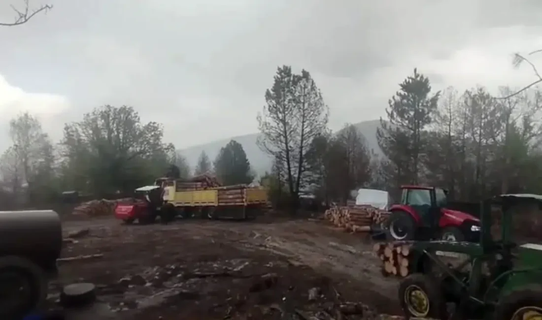 Karabük’ün Ovacık ilçesinde ormanlık alanda çalışma yürüten işçiler büyük bir