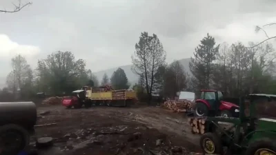 Karabük’ün Ovacık ilçesinde ormanlık alanda çalışma yürüten işçiler büyük bir