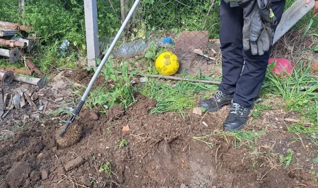 Tekirdağ’da duyarlı bir vatandaşın dikkati sayesinde su kuyusuna düşen minik