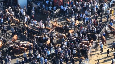 Kurban Bayramı’nın ilk gününde İstanbul genelindeki kurban satış ve kesim