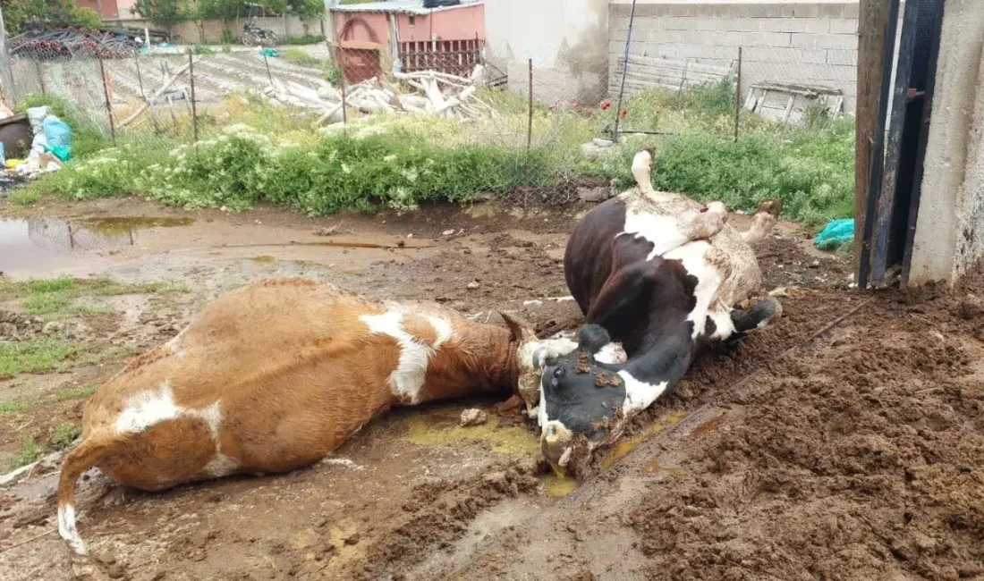 Niğde’nin Ulukışla ilçesinde aniden bastıran sağanak yağış sırasında meydana gelen