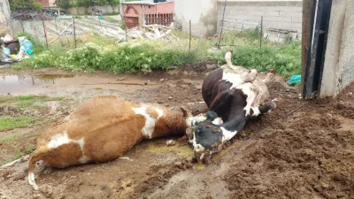 Niğde’nin Ulukışla ilçesinde aniden bastıran sağanak yağış sırasında meydana gelen