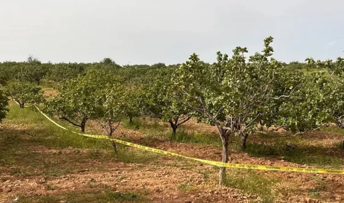 Kütahya’nın Simav ilçesinde tarlasında çalıştığı sırada traktörü devrilen 62 yaşındaki