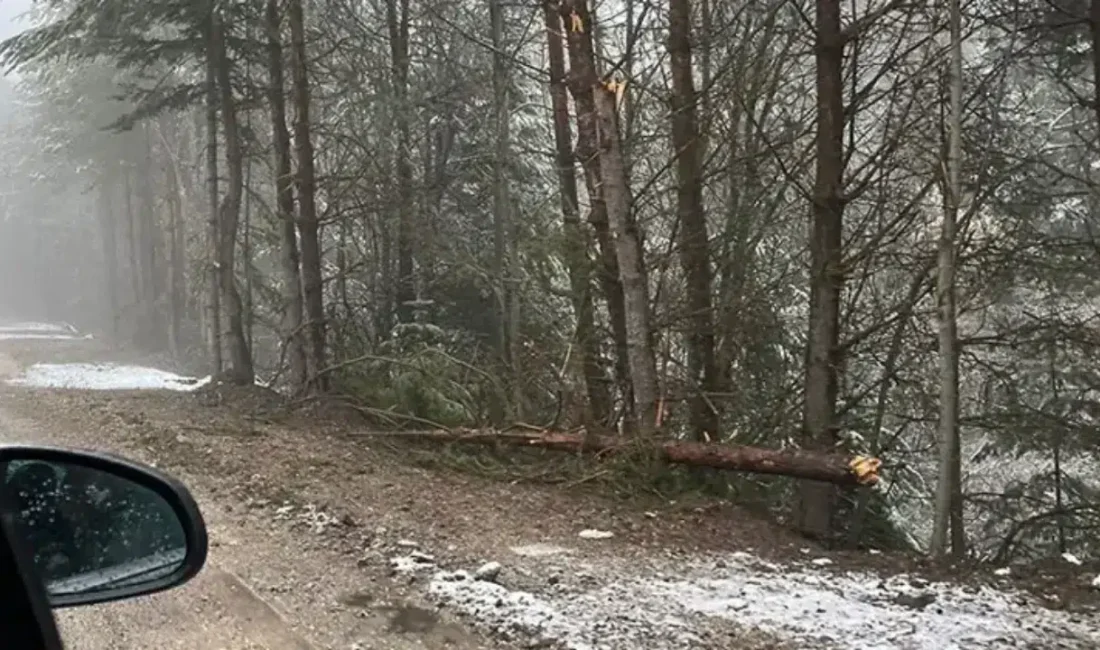 Bolu’da hava sıcaklıklarının aniden düşmesiyle birlikte yüksek kesimlerde kar yağışı