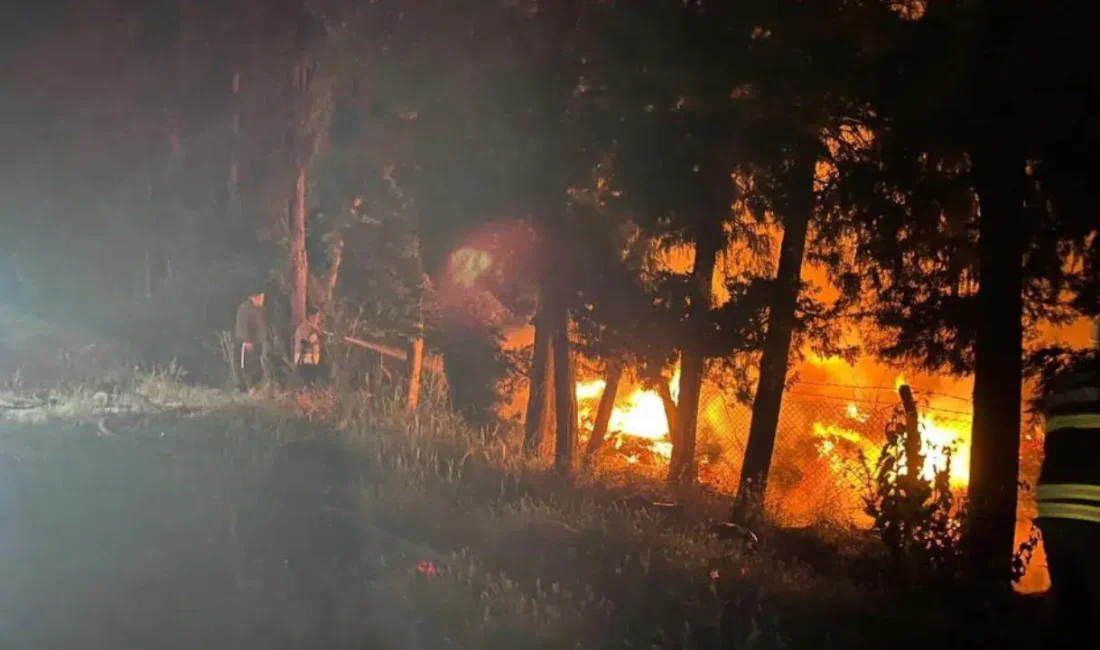 Hatay’ın Arsuz ilçesinde ağaçlık alanda yükselen alevler bölgede büyük panik