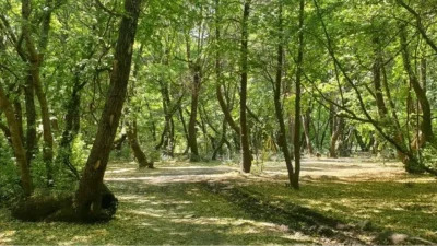 Muğla’da yaz aylarının gelmesiyle birlikte orman yangınlarına karşı en üst