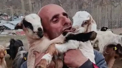 Erzurum’un Tortum ilçesinde hayvancılıkla ekmeğini kazanan Şahin Dürlü’nün yeni dünyaya