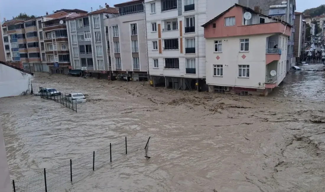 Samsun’un Havza ilçesinde meydana gelen sel felaketinin ardından yaralar sarılmaya