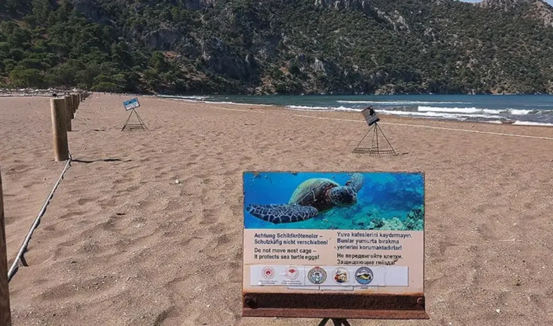 Muğla’nın Ortaca ilçesinde yer alan ve deniz kaplumbağalarının en önemli