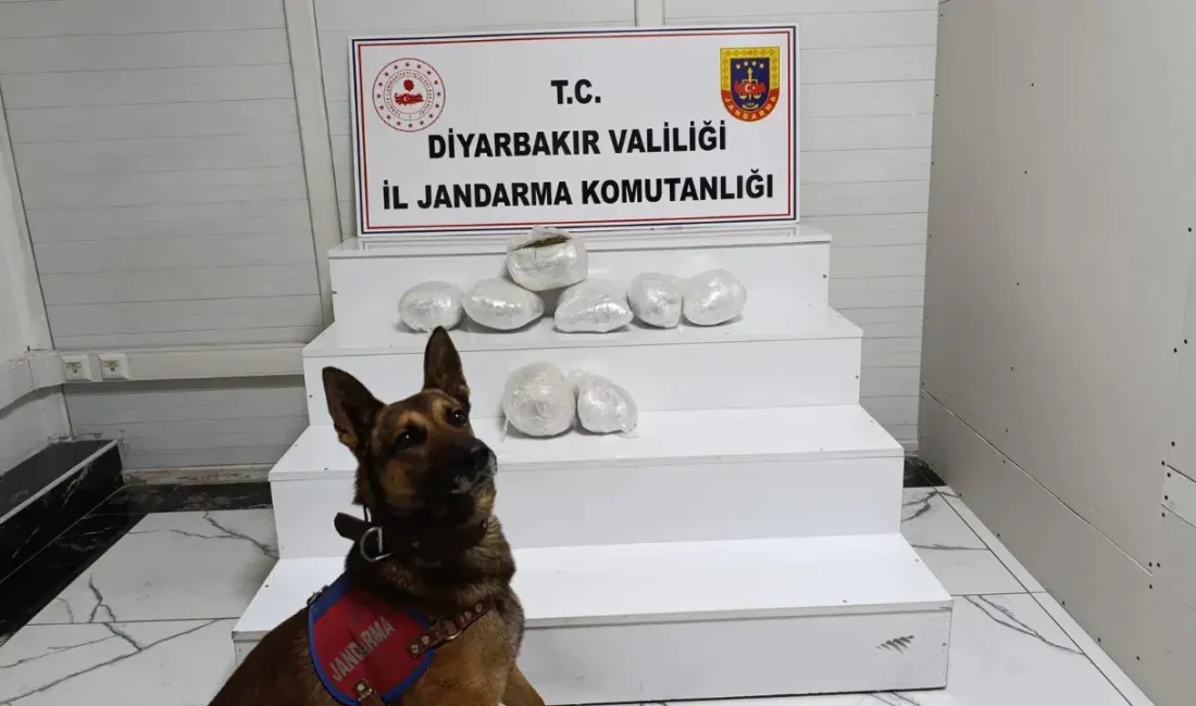 Diyarbakır’da jandarma ekiplerinin zehir tacirlerine yönelik düzenlediği dev uyuşturucu operasyonunun
