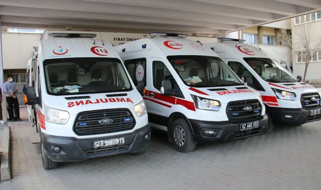 Elazığ’da arkadaşlarıyla keyifli bir gün geçirmek için pikniğe giden 19
