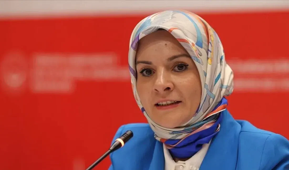 Aile ve Sosyal Hizmetler Bakanı Mahinur Özdemir Göktaş, TBMM çatısı
