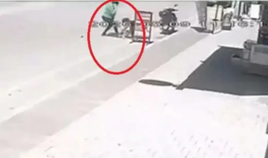 Adana’da yürekleri sızlatan ve sosyal medyada infial yaratan o görüntüler
