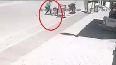 Adana’da yürekleri sızlatan ve sosyal medyada infial yaratan o görüntüler