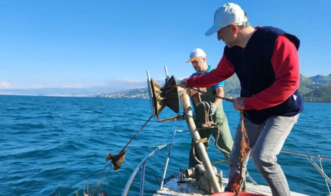Trabzon İl Tarım ve Orman Müdürlüğü ekipleri tarafından düzenlenen operasyonda,