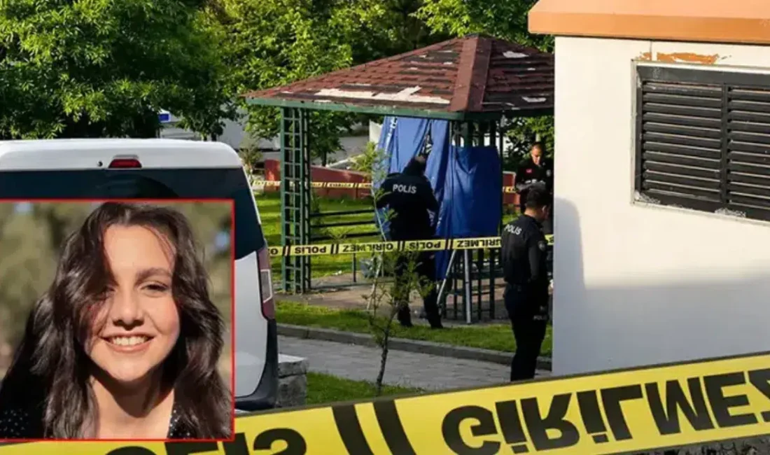 Malatya’nın Yeşilyurt ilçesinde sabah saatlerinde çocuk parkına gelenler korkunç bir