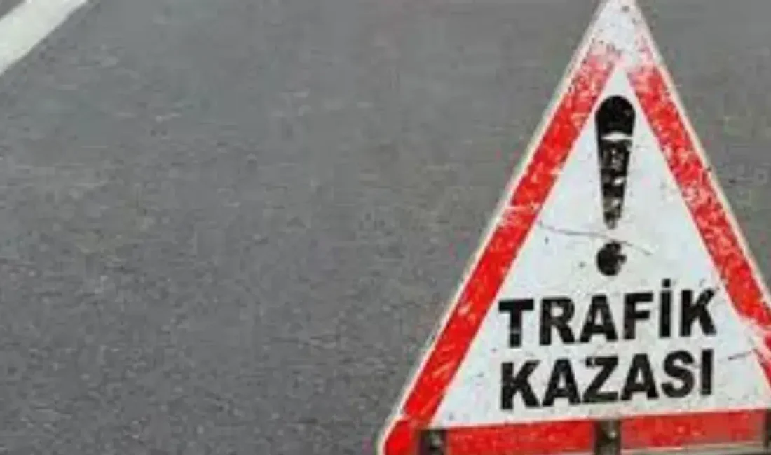 Antalya’nın Manavgat ilçesinde trafik kurallarını hiçe sayan bir sürücünün neden