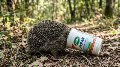 Eskişehir’de çevreye bilinçsizce atılan bir plastik ayran kutusu, sokakta yiyecek