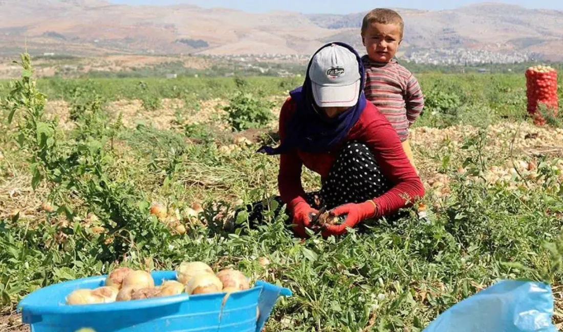 Tarım ve Orman Bakanı İbrahim Yumaklı, 14 Mayıs Dünya Çiftçiler