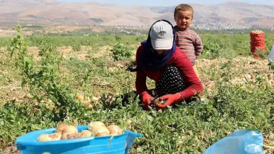 Tarım ve Orman Bakanı İbrahim Yumaklı, 14 Mayıs Dünya Çiftçiler
